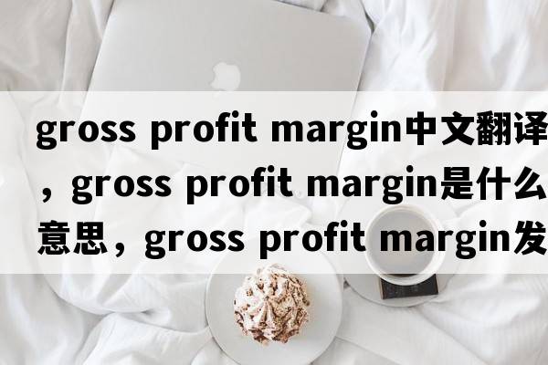 gross profit margin中文翻譯，gross profit margin是什么意思，gross profit margin發(fā)音、用法及例句