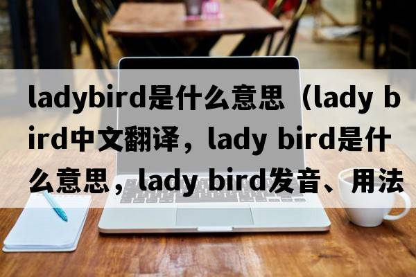 ladybird是什么意思（lady bird中文翻譯，lady bird是什么意思，lady bird發(fā)音、用法及例句）