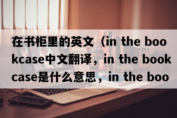 在書(shū)柜里的英文（in the bookcase中文翻譯，in the bookcase是什么意思，in the bookcase發(fā)音、用法及例句）