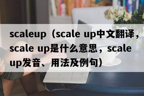scaleup（scale up中文翻譯，scale up是什么意思，scale up發(fā)音、用法及例句）