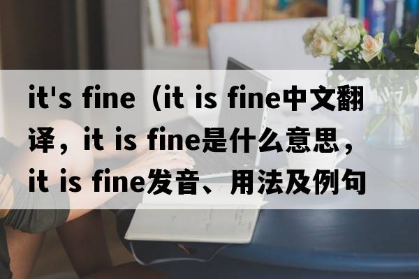 it's fine（it is fine中文翻譯，it is fine是什么意思，it is fine發(fā)音、用法及例句）