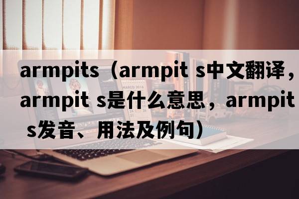 armpits（armpit s中文翻譯，armpit s是什么意思，armpit s發(fā)音、用法及例句）