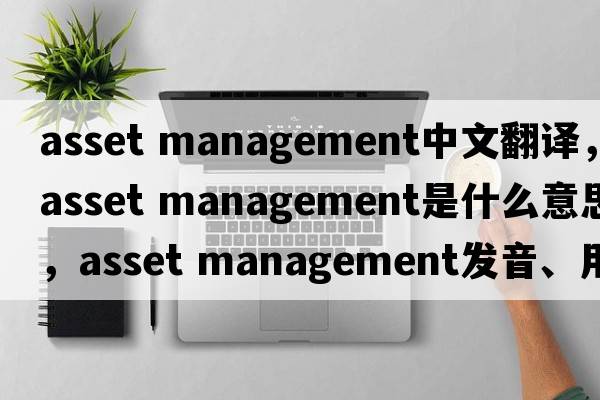 asset management中文翻譯，asset management是什么意思，asset management發(fā)音、用法及例句