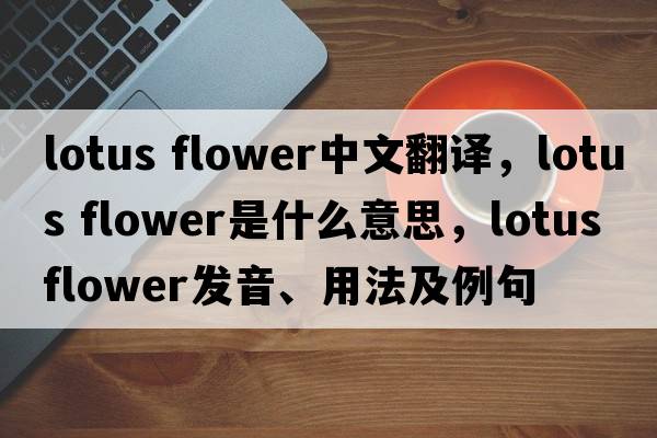 lotus flower中文翻譯，lotus flower是什么意思，lotus flower發(fā)音、用法及例句