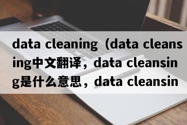 data cleaning（data cleansing中文翻譯，data cleansing是什么意思，data cleansing發(fā)音、用法及例句）