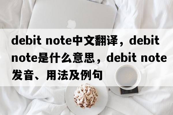 debit note中文翻譯，debit note是什么意思，debit note發(fā)音、用法及例句