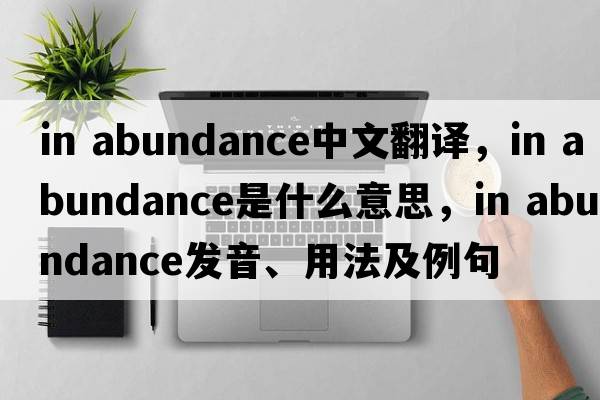 in abundance中文翻譯，in abundance是什么意思，in abundance發(fā)音、用法及例句