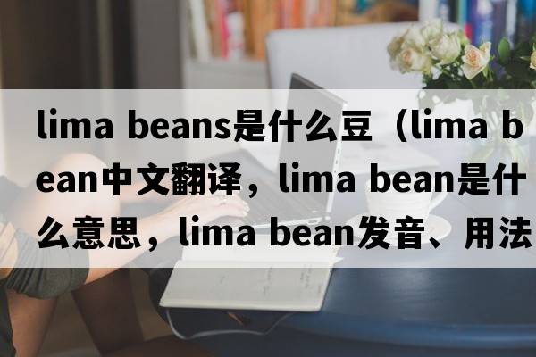 lima beans是什么豆（lima bean中文翻譯，lima bean是什么意思，lima bean發(fā)音、用法及例句）