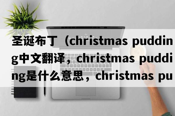 圣誕布?。╟hristmas pudding中文翻譯，christmas pudding是什么意思，christmas pudding發(fā)音、用法及例句）