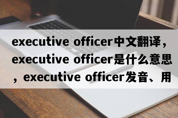 executive officer中文翻譯，executive officer是什么意思，executive officer發(fā)音、用法及例句