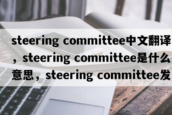 steering committee中文翻譯，steering committee是什么意思，steering committee發(fā)音、用法及例句