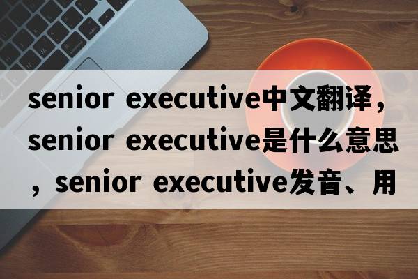 senior executive中文翻譯，senior executive是什么意思，senior executive發(fā)音、用法及例句