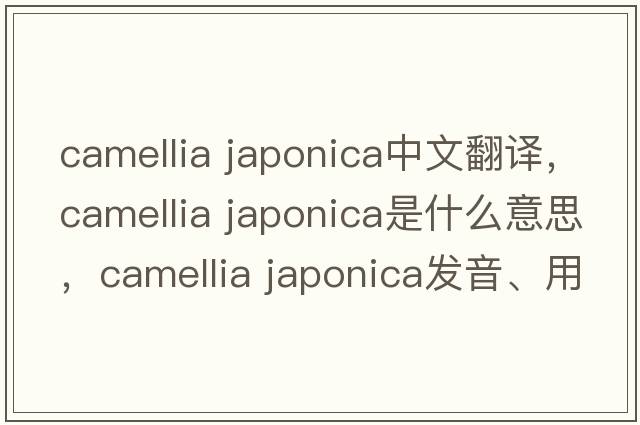 camellia japonica中文翻譯，camellia japonica是什么意思，camellia japonica發(fā)音、用法及例句