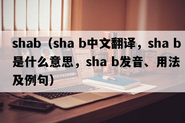 shab（sha b中文翻譯，sha b是什么意思，sha b發(fā)音、用法及例句）
