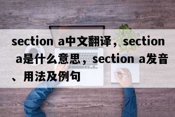 section a中文翻譯，section a是什么意思，section a發(fā)音、用法及例句