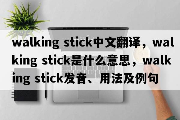 walking stick中文翻譯，walking stick是什么意思，walking stick發(fā)音、用法及例句