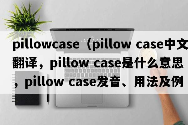 pillowcase（pillow case中文翻譯，pillow case是什么意思，pillow case發(fā)音、用法及例句）