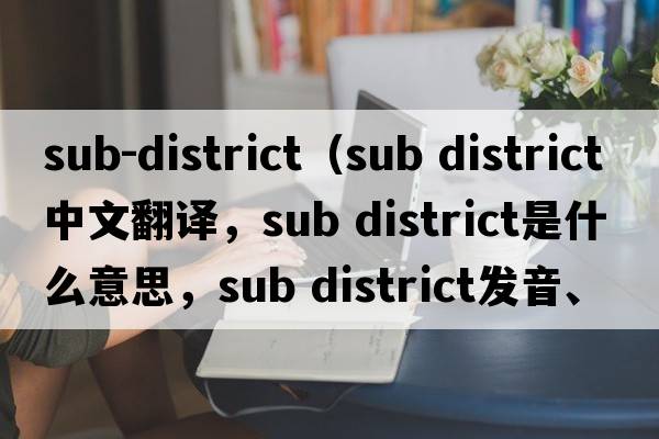 sub-district（sub district中文翻譯，sub district是什么意思，sub district發(fā)音、用法及例句）