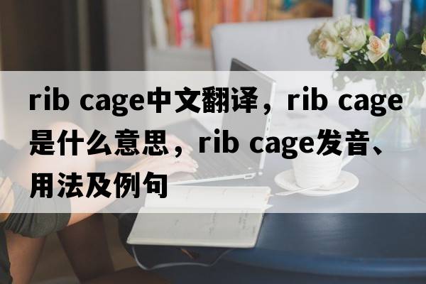rib cage中文翻譯，rib cage是什么意思，rib cage發(fā)音、用法及例句