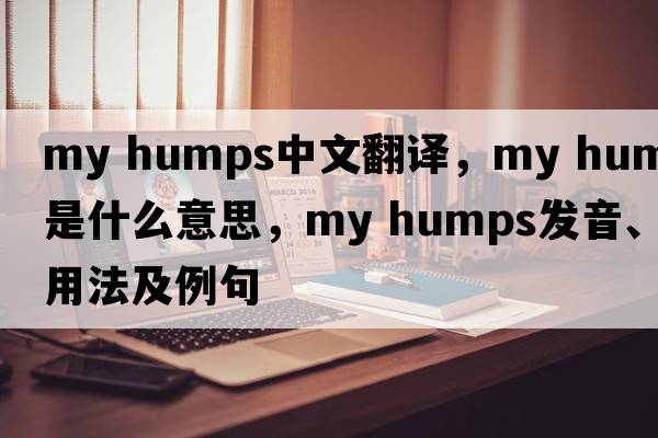 my humps中文翻譯，my humps是什么意思，my humps發(fā)音、用法及例句