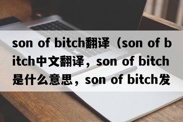 son of bitch翻譯（son of bitch中文翻譯，son of bitch是什么意思，son of bitch發(fā)音、用法及例句）