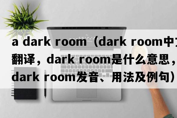a dark room（dark room中文翻譯，dark room是什么意思，dark room發(fā)音、用法及例句）