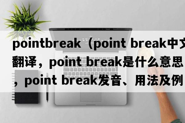 pointbreak（point break中文翻譯，point break是什么意思，point break發(fā)音、用法及例句）