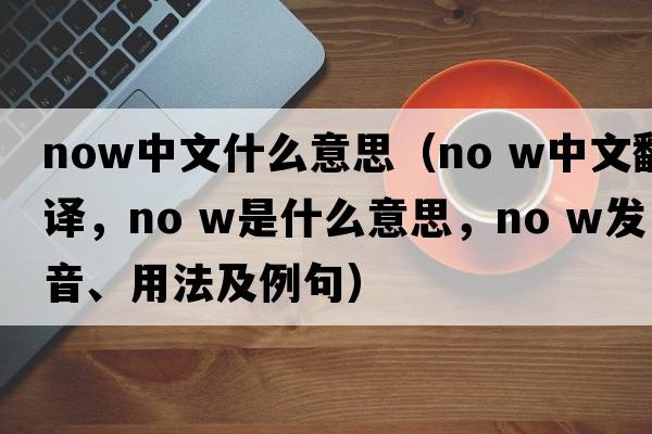 now中文什么意思（no w中文翻譯，no w是什么意思，no w發(fā)音、用法及例句）