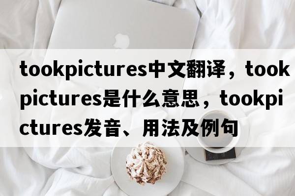 tookpictures中文翻譯，tookpictures是什么意思，tookpictures發(fā)音、用法及例句