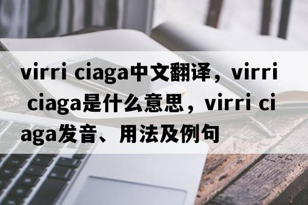 virri ciaga中文翻譯，virri ciaga是什么意思，virri ciaga發(fā)音、用法及例句