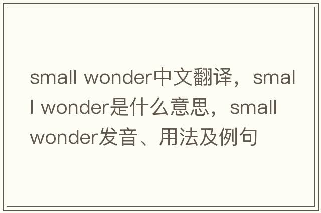 small wonder中文翻譯，small wonder是什么意思，small wonder發(fā)音、用法及例句