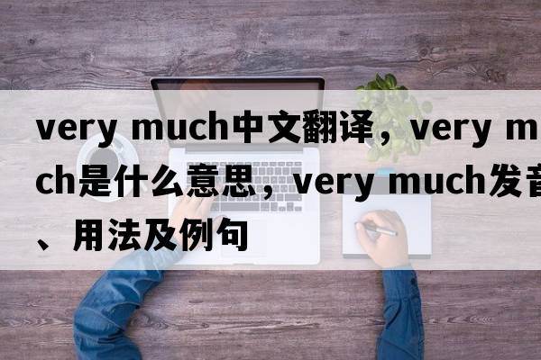 very much中文翻譯，very much是什么意思，very much發(fā)音、用法及例句
