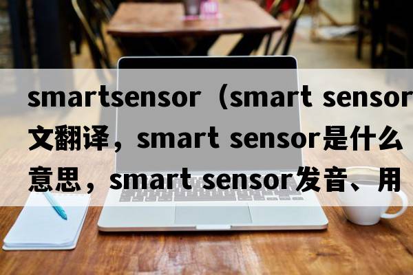 smartsensor（smart sensor中文翻譯，smart sensor是什么意思，smart sensor發(fā)音、用法及例句）