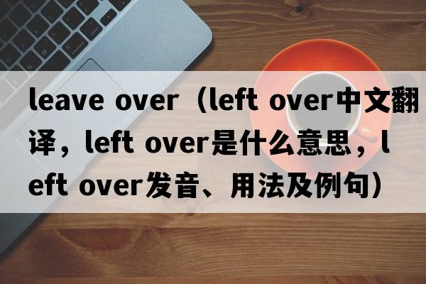 leave over（left over中文翻譯，left over是什么意思，left over發(fā)音、用法及例句）
