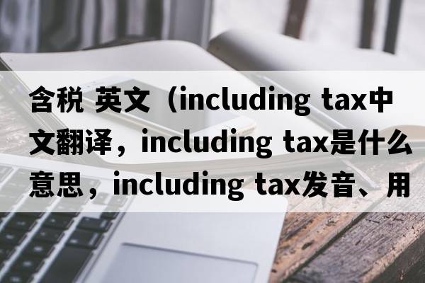 含稅 英文（including tax中文翻譯，including tax是什么意思，including tax發(fā)音、用法及例句）
