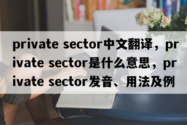 private sector中文翻譯，private sector是什么意思，private sector發(fā)音、用法及例句