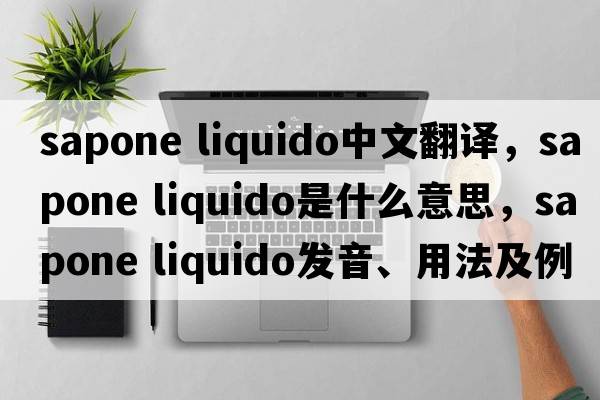 sapone liquido中文翻譯，sapone liquido是什么意思，sapone liquido發(fā)音、用法及例句