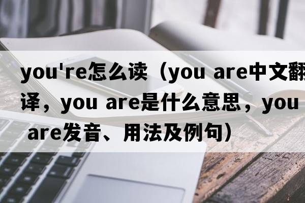 you're怎么讀（you are中文翻譯，you are是什么意思，you are發(fā)音、用法及例句）