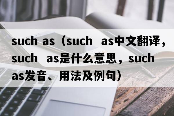 such as（such  as中文翻譯，such  as是什么意思，such  as發(fā)音、用法及例句）