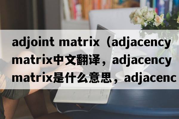 adjoint matrix（adjacency matrix中文翻譯，adjacency matrix是什么意思，adjacency matrix發(fā)音、用法及例句）