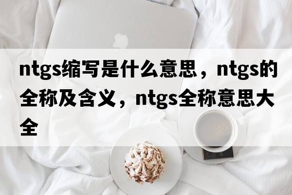 ntgs縮寫(xiě)是什么意思，ntgs的全稱(chēng)及含義，ntgs全稱(chēng)意思大全