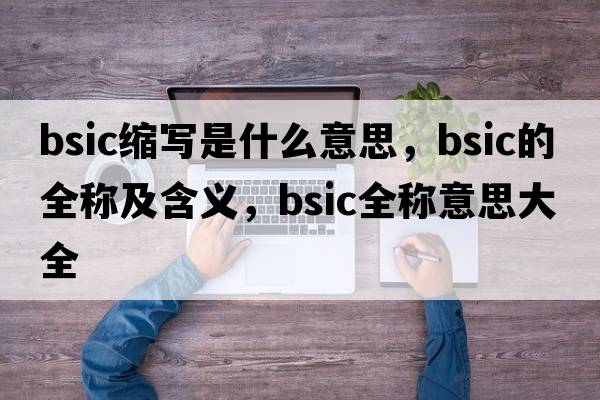 bsic縮寫(xiě)是什么意思，bsic的全稱(chēng)及含義，bsic全稱(chēng)意思大全
