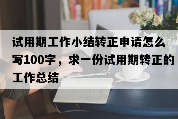 試用期工作小結轉正申請怎么寫(xiě)100字，求一份試用期轉正的工作總結