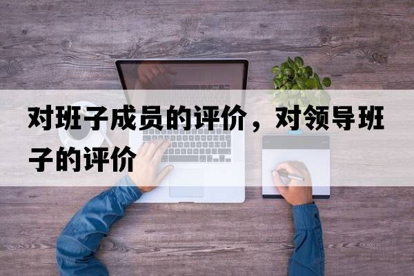 對班子成員的評價(jià)，對領(lǐng)導班子的評價(jià)
