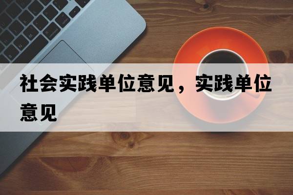 社會(huì )實(shí)踐單位意見(jiàn)，實(shí)踐單位意見(jiàn)
