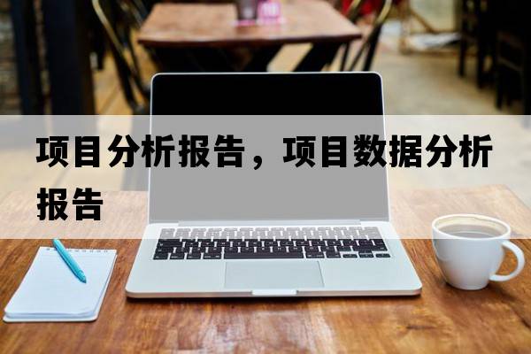 項目分析報告，項目數據分析報告