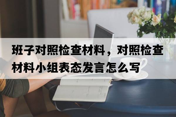 班子對照檢查材料，對照檢查材料小組表態(tài)發(fā)言怎么寫(xiě)