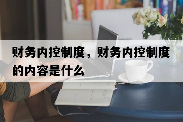 財務(wù)內控制度，財務(wù)內控制度的內容是什么