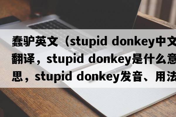蠢驢英文（stupid donkey中文翻譯，stupid donkey是什么意思，stupid donkey發(fā)音、用法及例句）