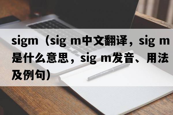 sigm（sig m中文翻譯，sig m是什么意思，sig m發(fā)音、用法及例句）